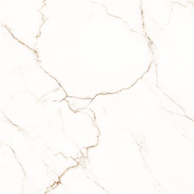 Calacatta Angelo 120x120